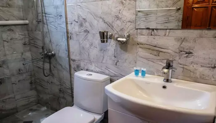 هتل جورجین هاوس تفلیس